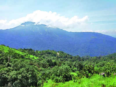 Karnataka’s forest cover inches up, ecological concerns linger