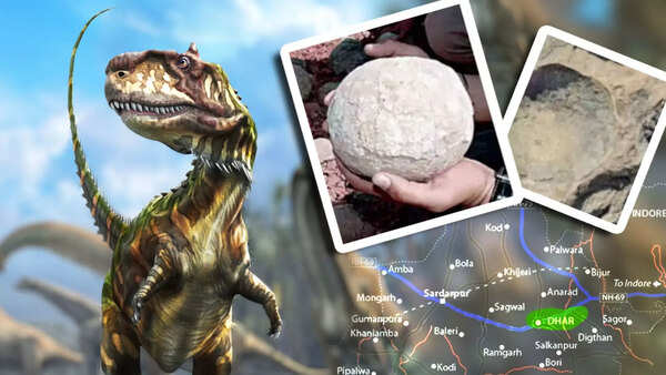 India's Jurassic Park: How dinosaur fossils in Central India are treasure for science