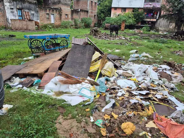 Areas in Anna Nagar and Padi bear brunt of clogged drains