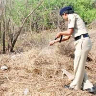 Cops bust love nests, smoke out couples