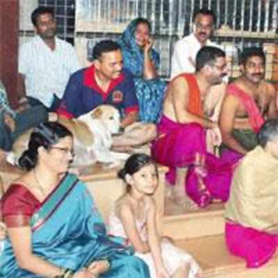 Siddhivinayak's doggedly devout canine