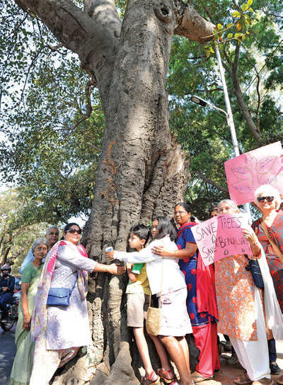 Buck up Bengaluru; 340 trees are still to be saved