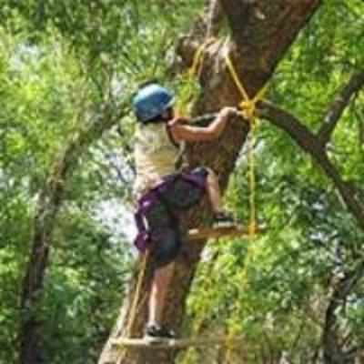 Chinese varsity offers tree-climbing class