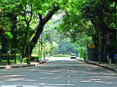Tinny bins let rats have field day at Cubbon Park