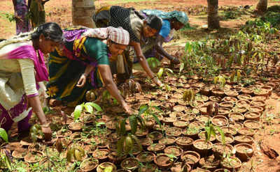 World Environment Day: Kerala plants one crore saplings