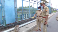 UP Police takes care of stray animals amid COVID-19 lockdown 