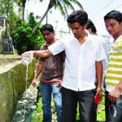 Guppy fish take up fight against Malaria