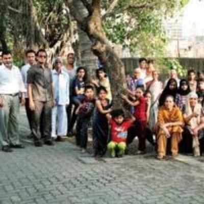 Locals drain out BMC plan to hack 40 trees