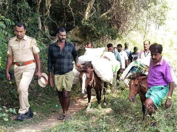 Mules, motors pitch in to reach remote polling stations