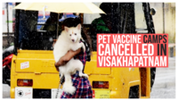 World Zoonoses Day: Pet vaccine camps cancelled due to COVID-19 