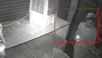 Patiala Peg: Burglars steal booze, caught on cam 