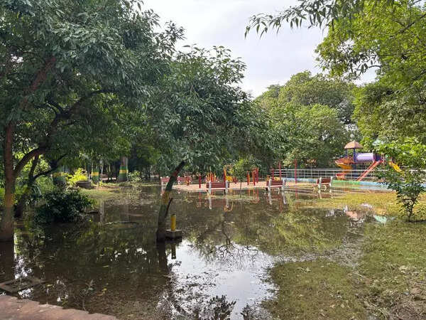 Dirty water, safety issues plague May Day park