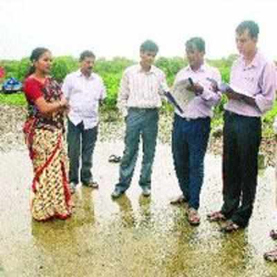 MPCB officials conduct third and final survey of Ghansoli creek