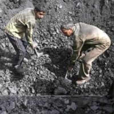No loss to govt on coal blocks: CAG