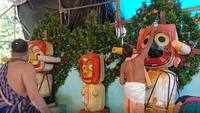 Deva Snana Purnima: Lord Jagannath and divine siblings bathed, dressed in elephant costumes in Odisha's Rourkela 