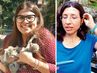 Animal lover says Spanish woman and a senior citizen hit her for feeding cats