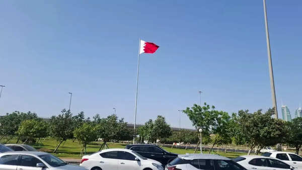 Bahrain revokes citizenship of 69 Iran sympathisers