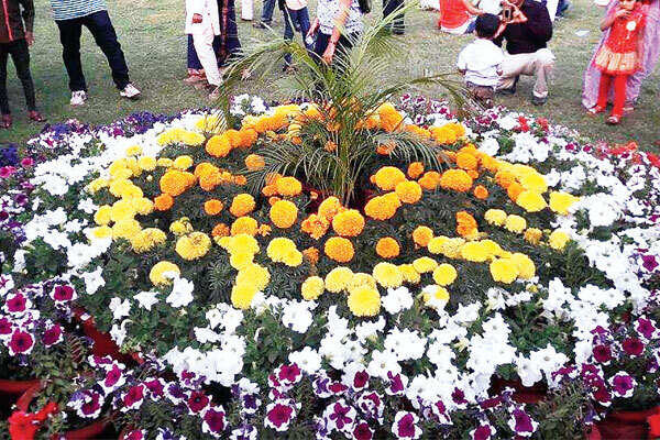 Beautiful flower and vegetable display held at Maitri Bagh in Bhilai