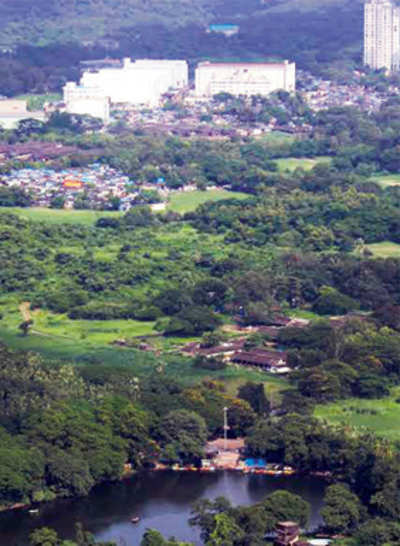 Greens win their second big battle for Aarey Colony