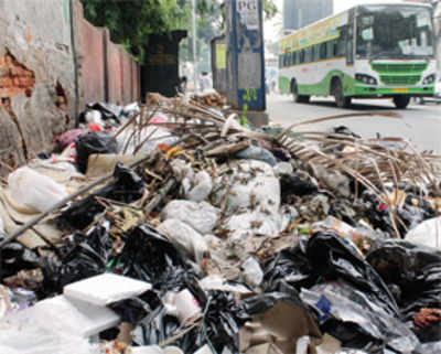 Garbage crisis triggers fear of dengue epidemic in city