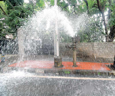 Bengaluru loses 37% water coming its way