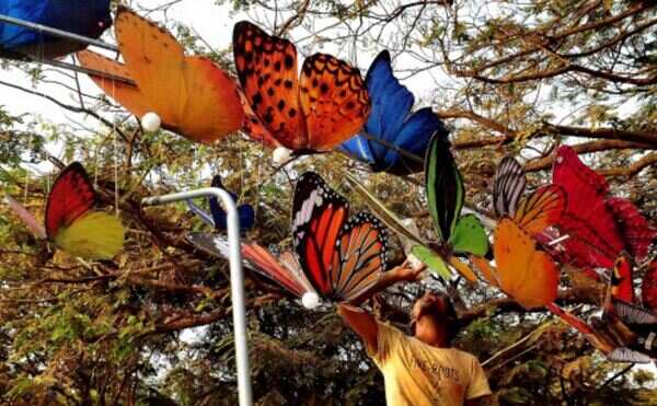 Ujjain to have first open butterfly park