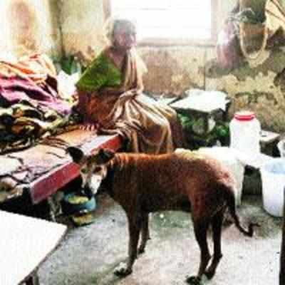 Woman owns Rs 30-crore plot, but lives like a pauper