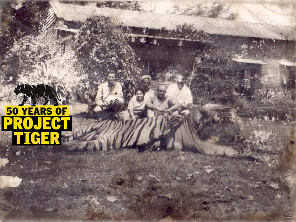 Where did tigers vanish from Hazaribagh, land of thousand tigers?