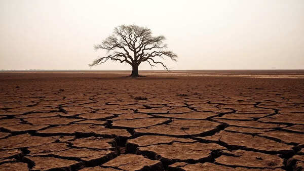 El Nino may set in by 1st half of monsoon: US forecast