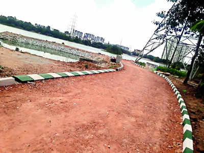 Haralur Lake: Revival journey goes smooth
