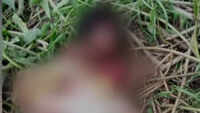 Tamil Nadu: 7-year-old girl allegedly raped and killed by neighbour in Pudukkottai 