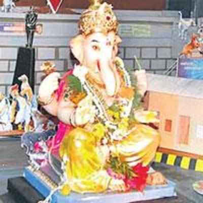 Strays steal the show at this Ganesh pandal