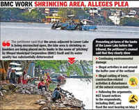 Lower Lake &lsquo;decline&rsquo;: NGT now asks MPPCB to submit report
