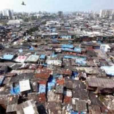 Govt rolls back grand Dharavi plan