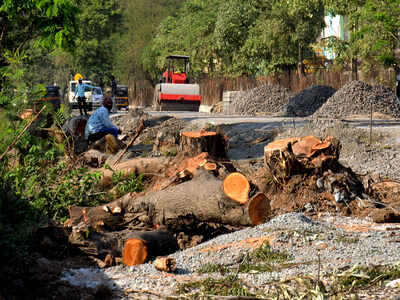 85 trees may be axed to make way for five stations of Metro 7