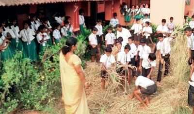 Mangaluru: Kids get a taste of paddy farming at school