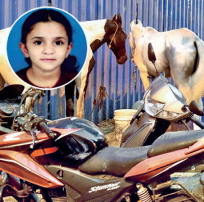 Was Badal, the horse, responsible for little Janhavi’s tragic death?