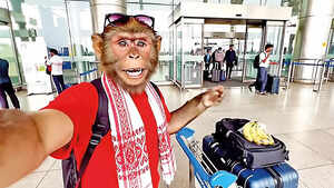 How &lsquo;AI slop&rsquo; went from viral nonsense to billion-view jackpot