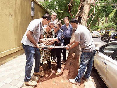Colaba residents rope in private expert to audit trees in their area
