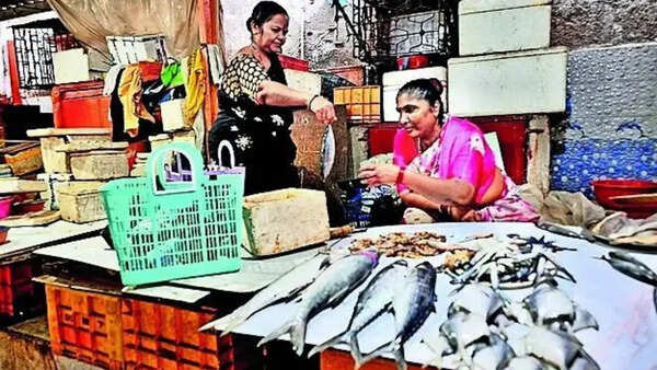 Mumbai’s Koli women chart new waters, set up and run modern seafood company