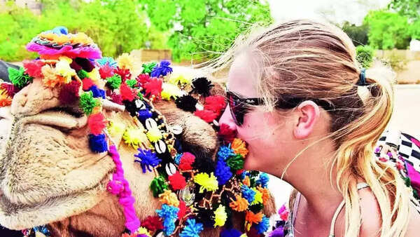 Tourism industry stands parched as foreign visitors' count dries up