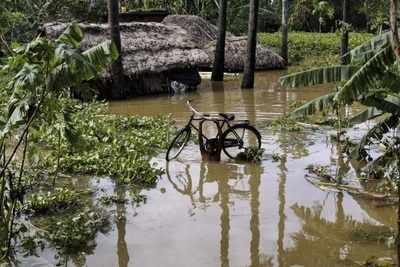 Cyclone, flood toll rises to 38 in Odisha