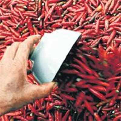 Burning chillies spark terror scare