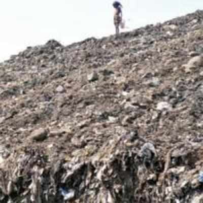 Deonar's 114-ft tower of stink to rise higher?