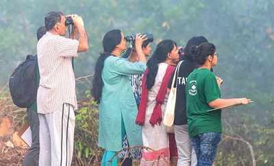 Manipal Bird Day: 132 species recorded