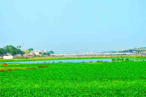 Towards a cleaner Vaigai!