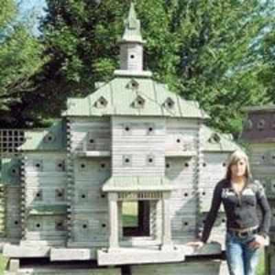 Canadian man creates mansions for birds