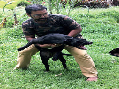 Canine psychologist joins BBMP as ‘voice of strays’