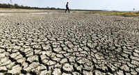 Latur farmer collapses & dies, fourth suspected heatstroke death so far in state this summer