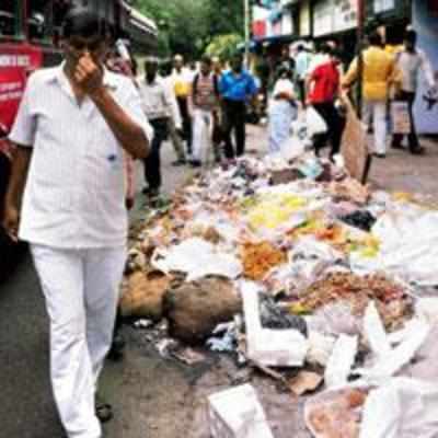 120 new spots to dump garbage in city, BMC fumes
